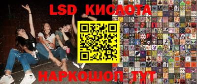 индика Заволжье