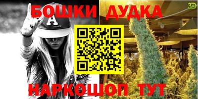 индика Заволжье