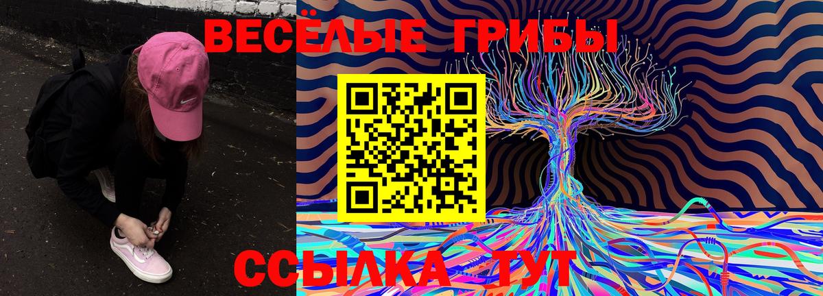 Курчатов  Псилоцибиновые грибы мухоморы  Вход с VPN 