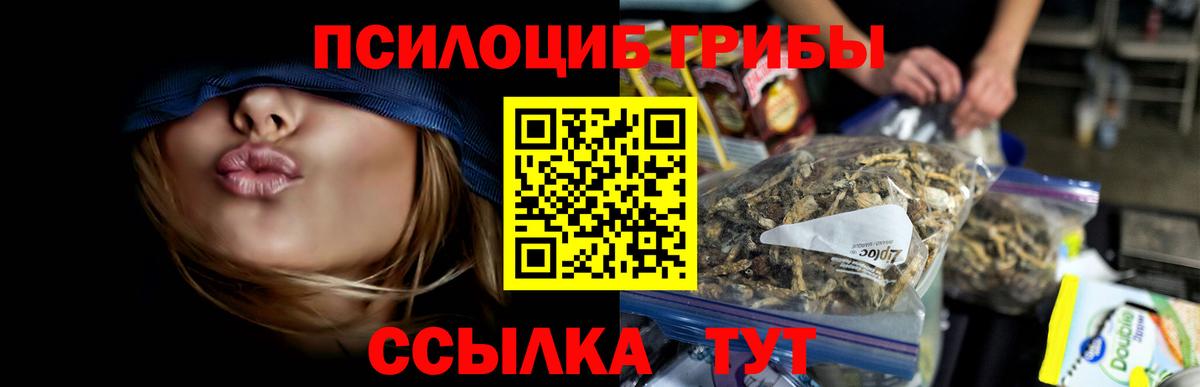 Псилоцибиновые грибы GOLDEN TEACHER Курчатов